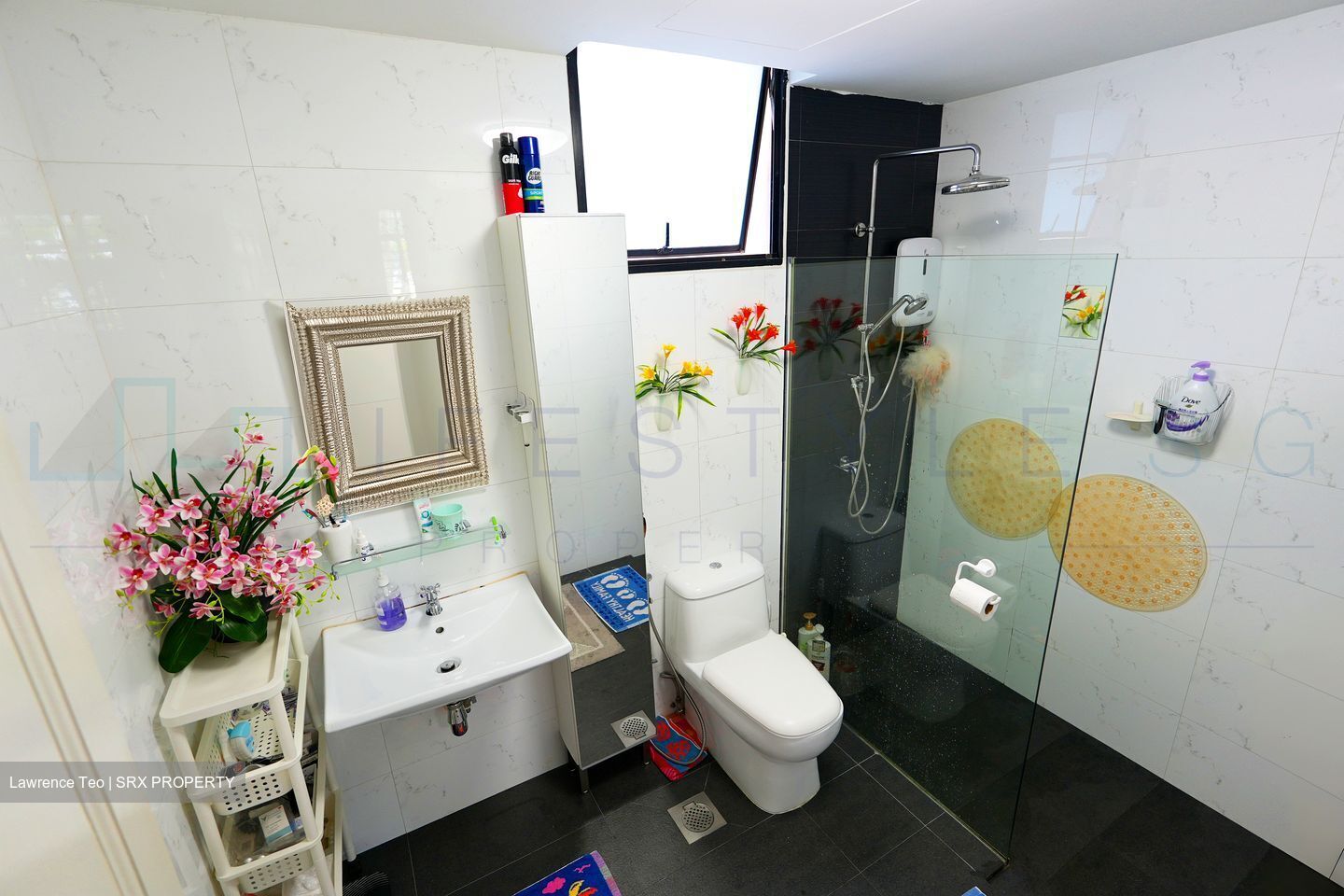Euro-Asia Park (D13), Condominium #443278701